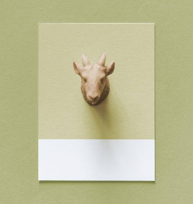 animal head abstract