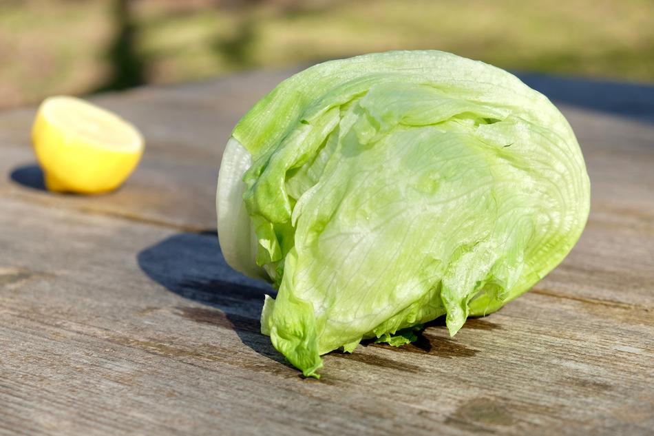 ripe green cabbage header