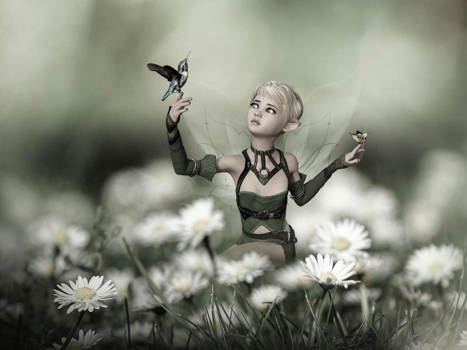 fairy in the grass with flowers