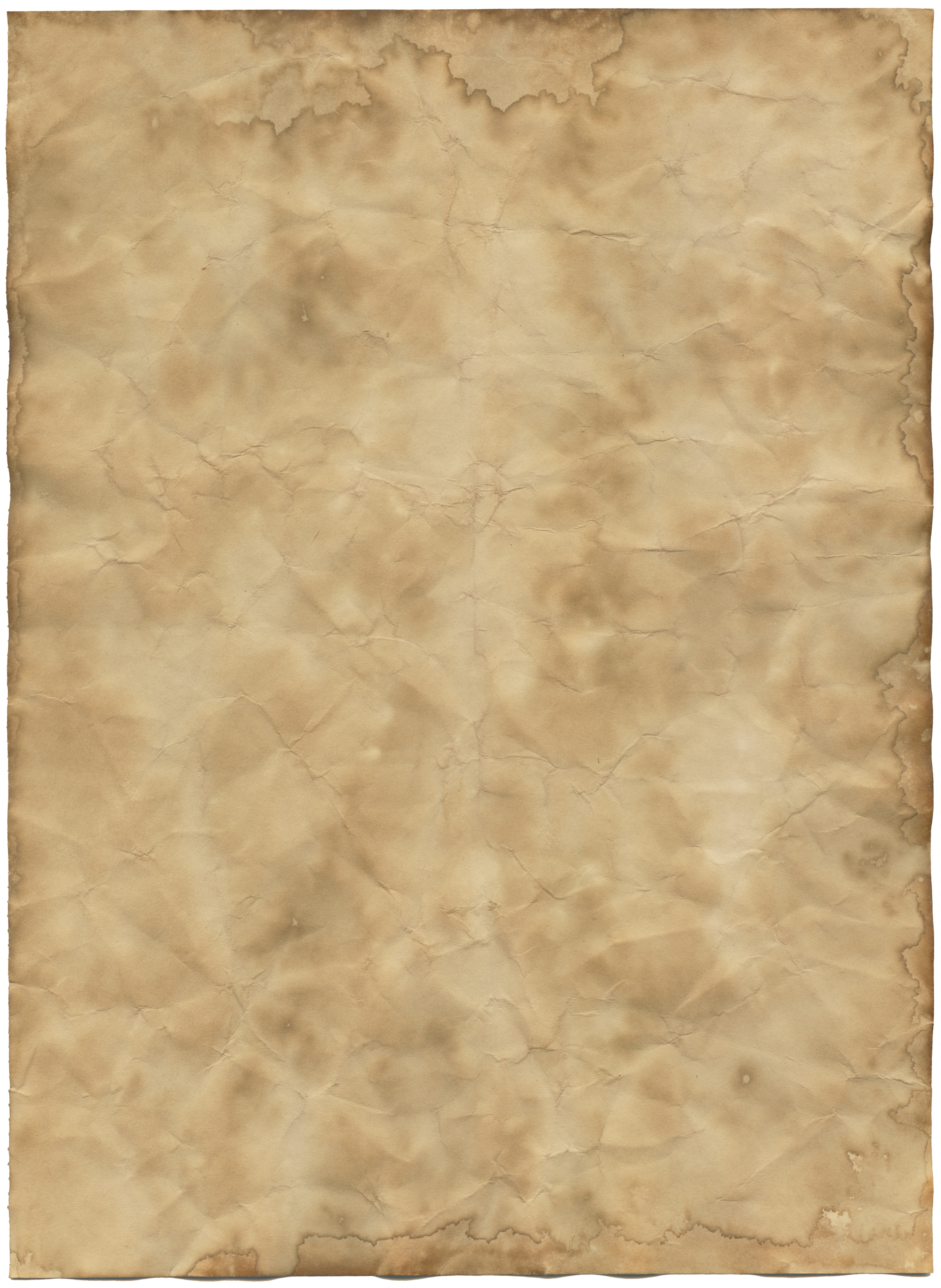 Пергаментная бумага
