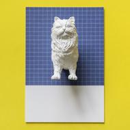 white cat on a blue background