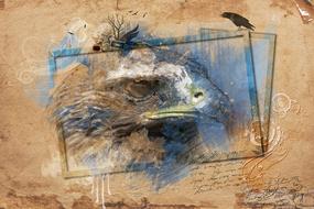 drawing graphic art view