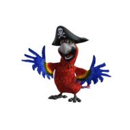 colored parrot pirate