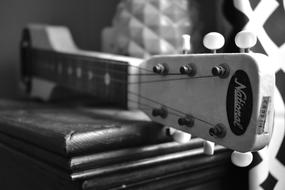 Steel Guitar black and white