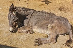 settled in the ground