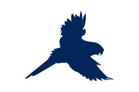 blue eagle against the sky