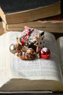 decorating a Christmas book is beautiful.