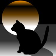 black cat against the moon view