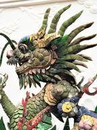darcon chinese species