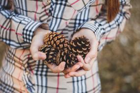 Cones Hands
