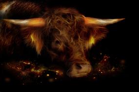 fluffy cow on a black background