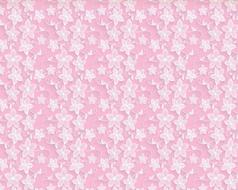 pink floral background