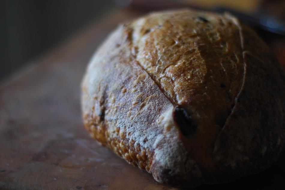 crispy hot slice of bread