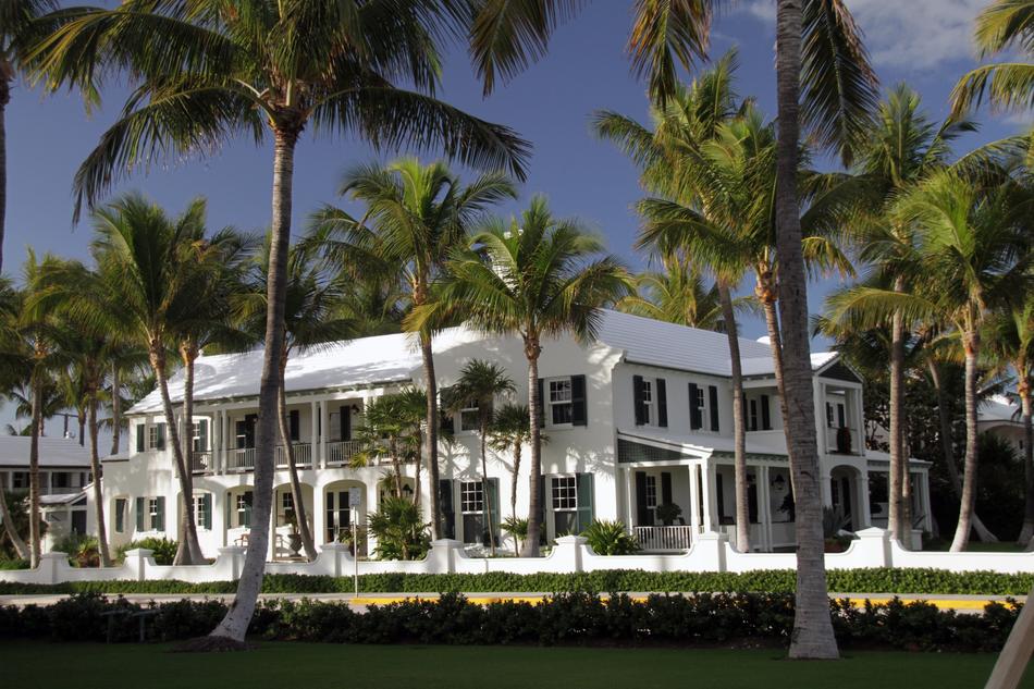 palm trees building island