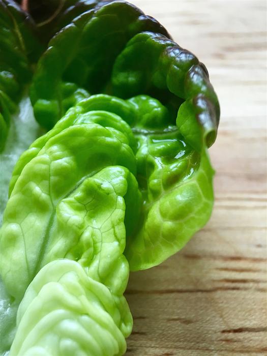 Lettuce leaves are useful on the table