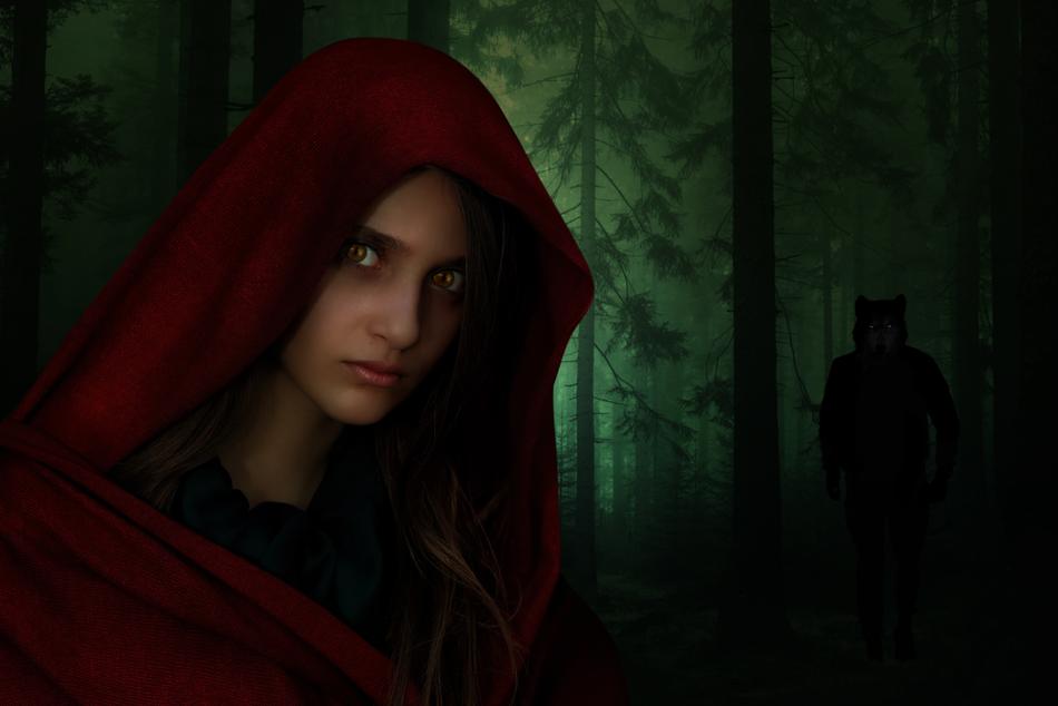the girl in the red hood