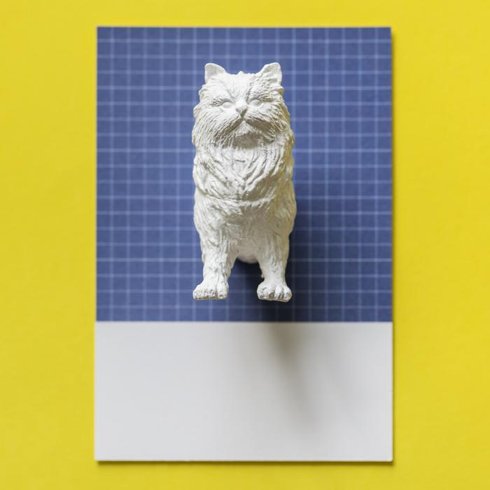 white cat on a blue background