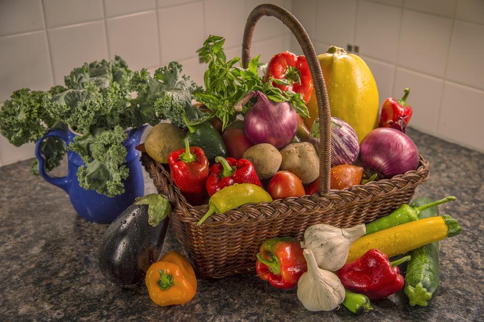 basket of ripe vegetables harvest