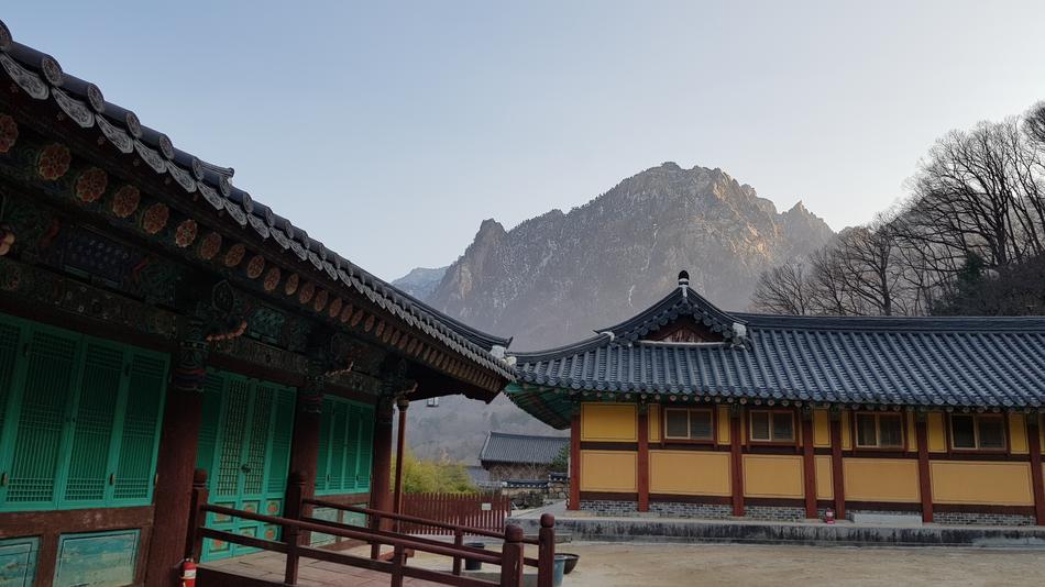Section Temple Buddhism
