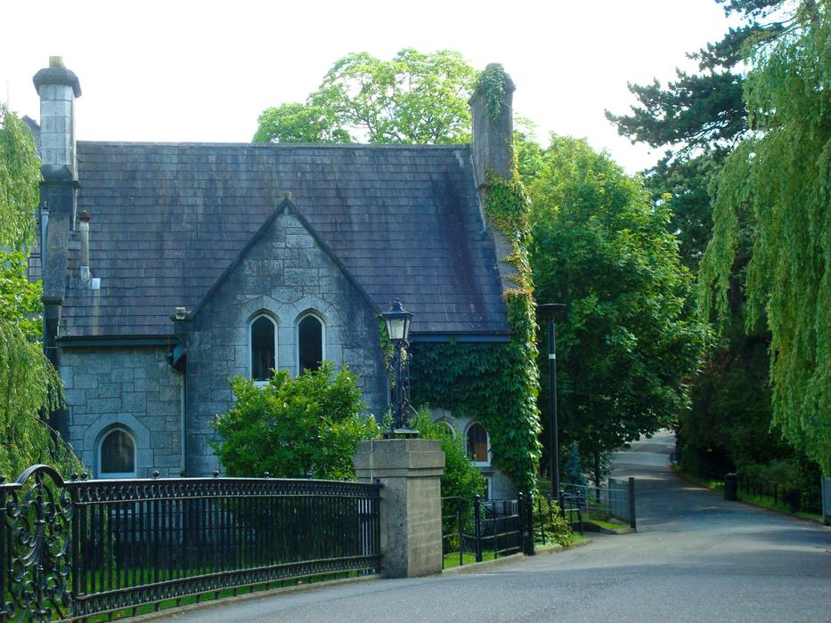 standing house by the trees