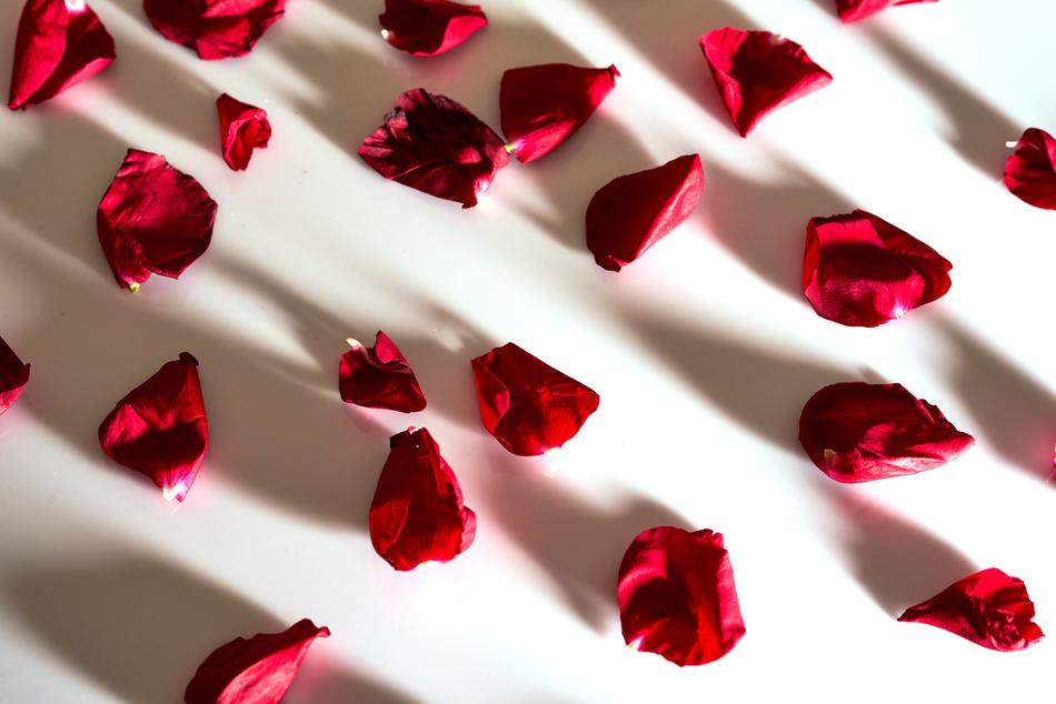 red petals on a white background table
