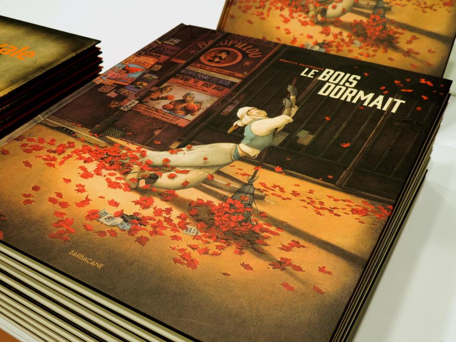Book Culture History