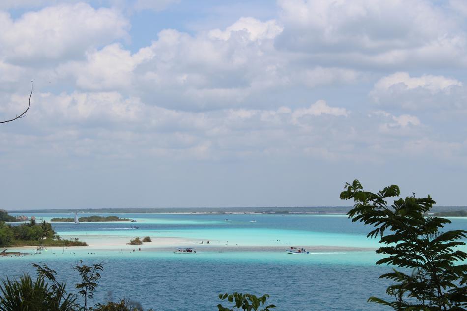 sea surface with trees