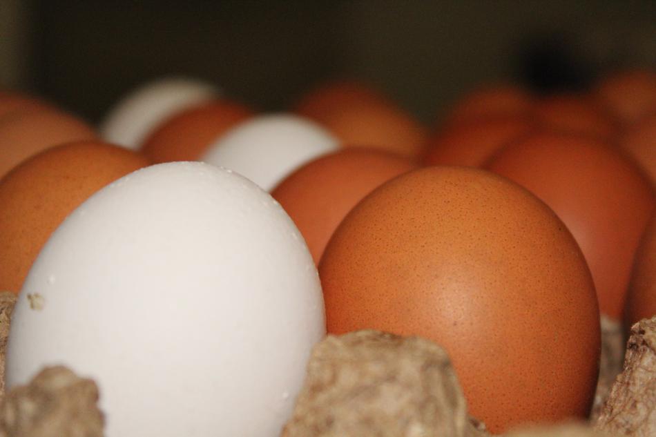 raw chicken eggs in a box