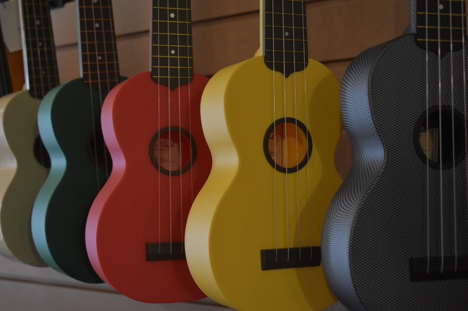 hawaiian Music Instrument
