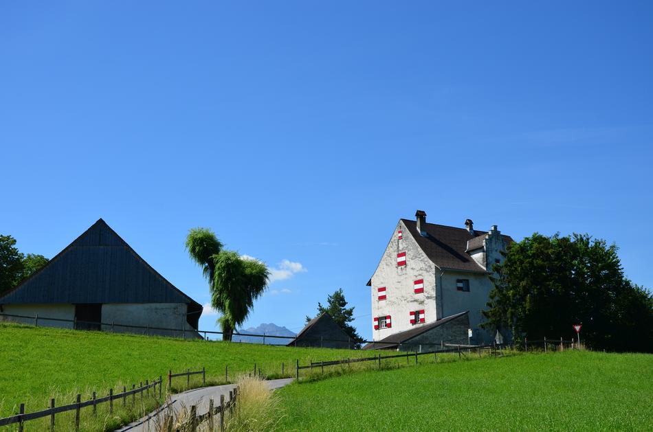 green meadows on the farm