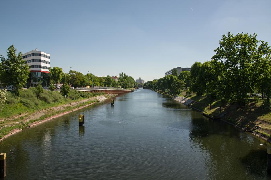 green waters with trees nature