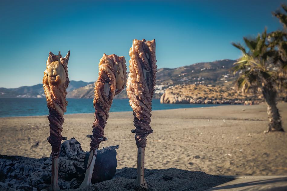 Twisted octopus on a stick on the beach