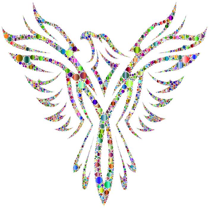 a beautiful bird with a patterned look