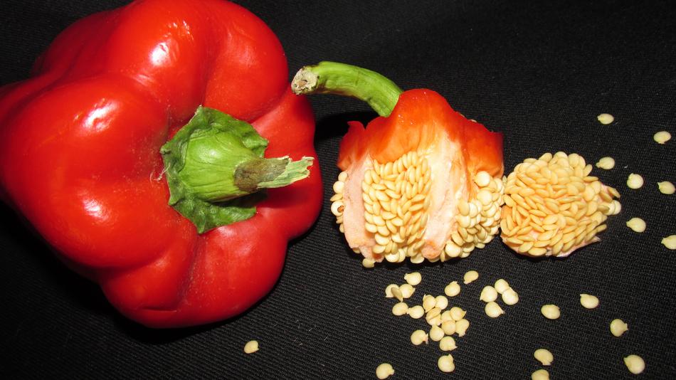 sliced red pepper