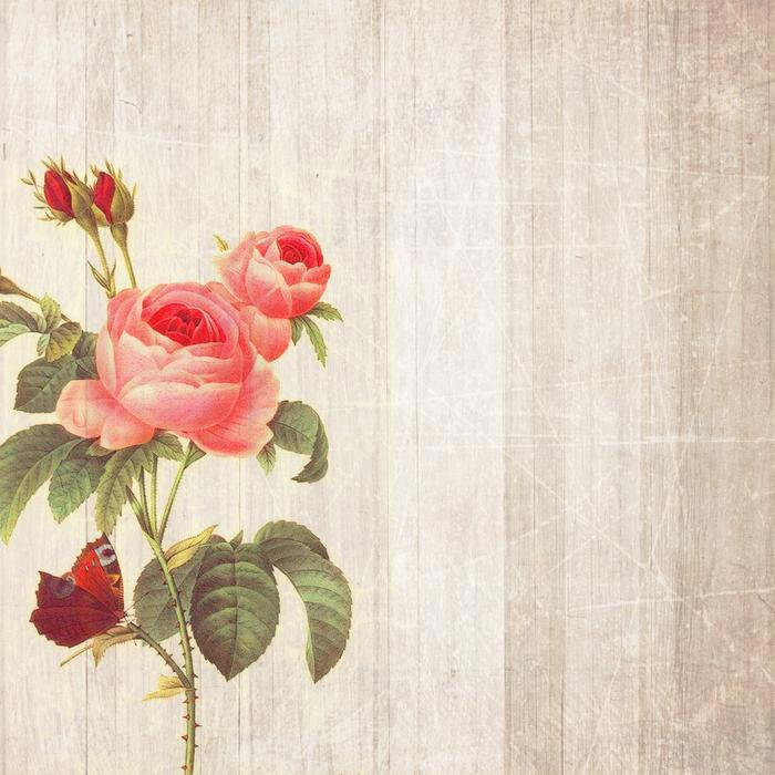 background roses boards flowers
