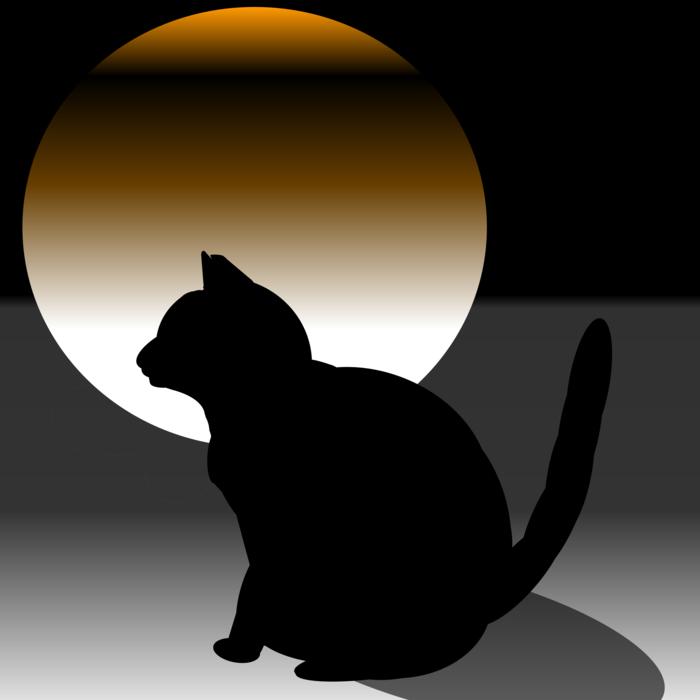 black cat against the moon view