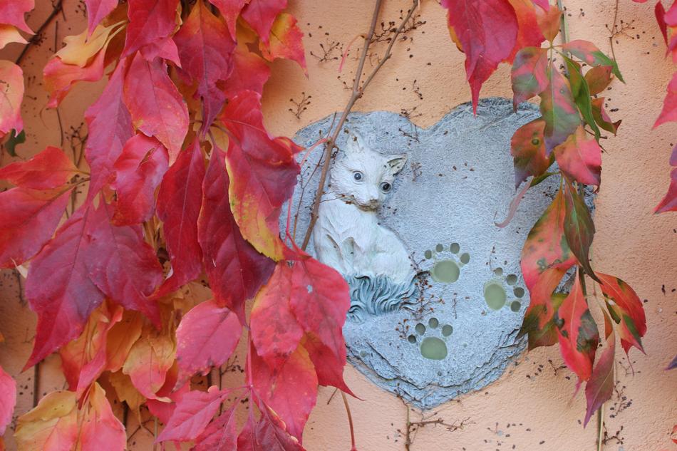a drawing of a cat in the foliage view