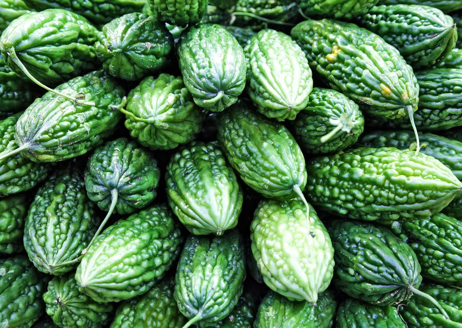 ripe large cucumbers harvest