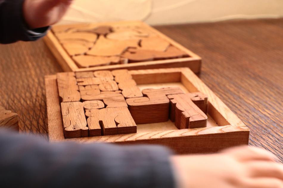 Puzzle Wood Playback