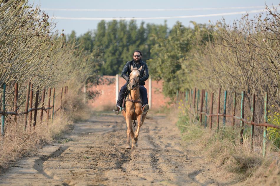man on horse on farm
