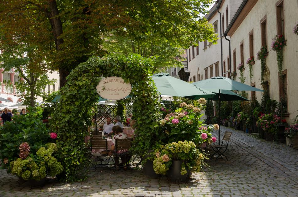 Plant arch on the terrace of the cafe