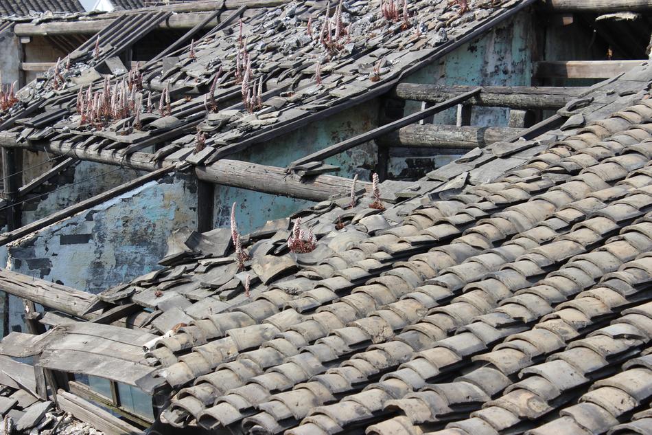 stone roof voice house