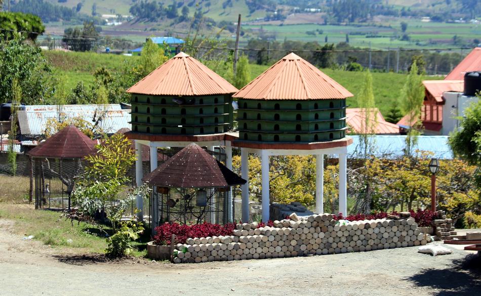 cozy village with unusual buildings