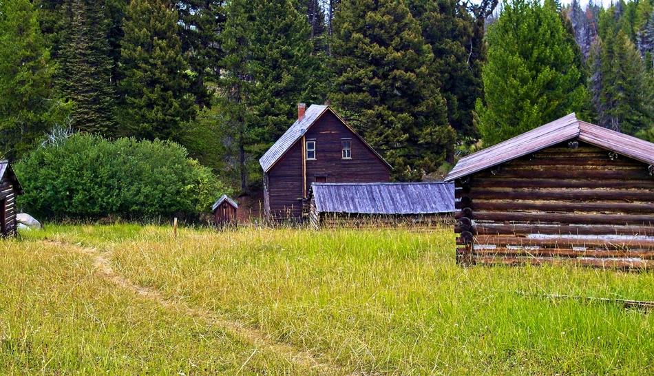 green grass with wooden houses