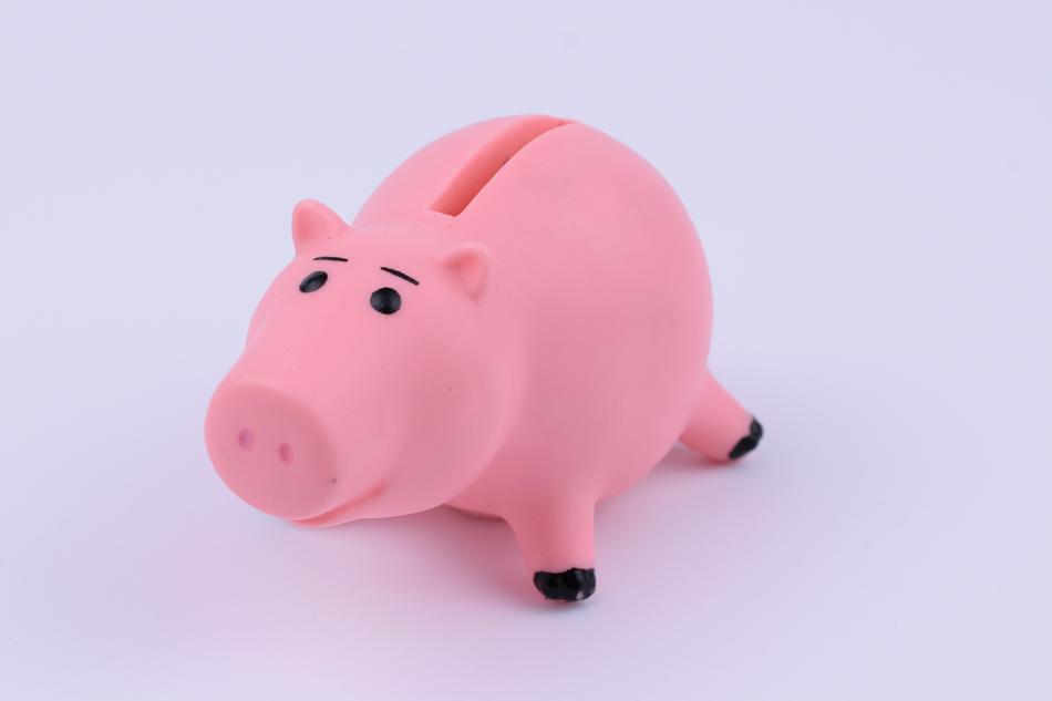 pink Piggy Bank Figure Finance