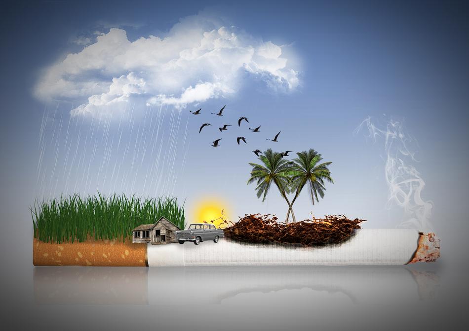 Cigarette Smoke Tobacco island drawing